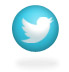 Ali's Twitter