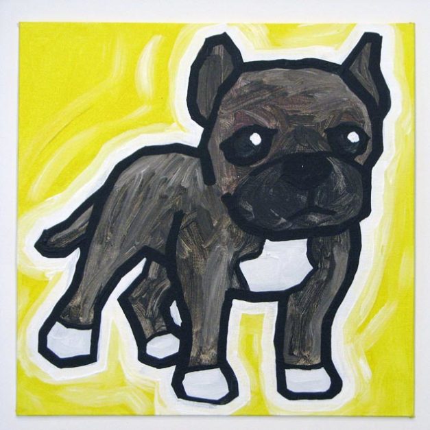 American Pitbull Terrier